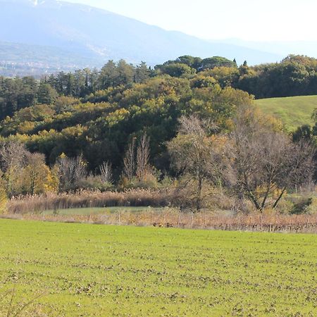 Agriturismo La Ginestrella Civitella D'Arna Eksteriør bilde
