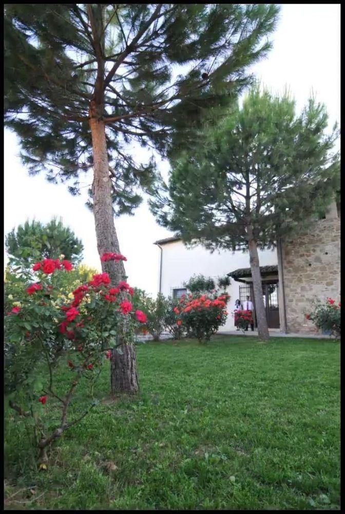 Agriturismo La Ginestrella Civitella D'Arna Eksteriør bilde
