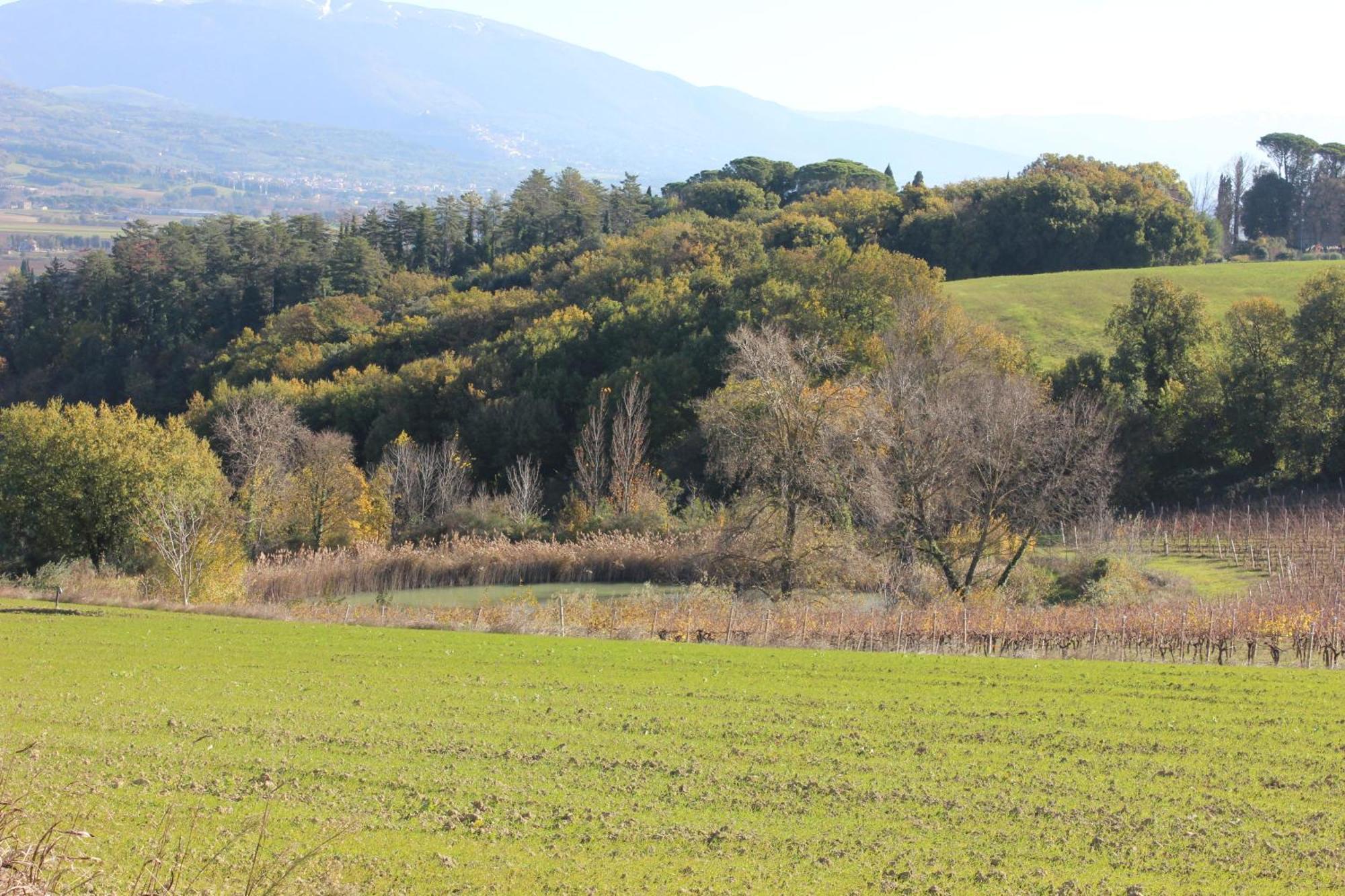 Agriturismo La Ginestrella Civitella D'Arna Eksteriør bilde
