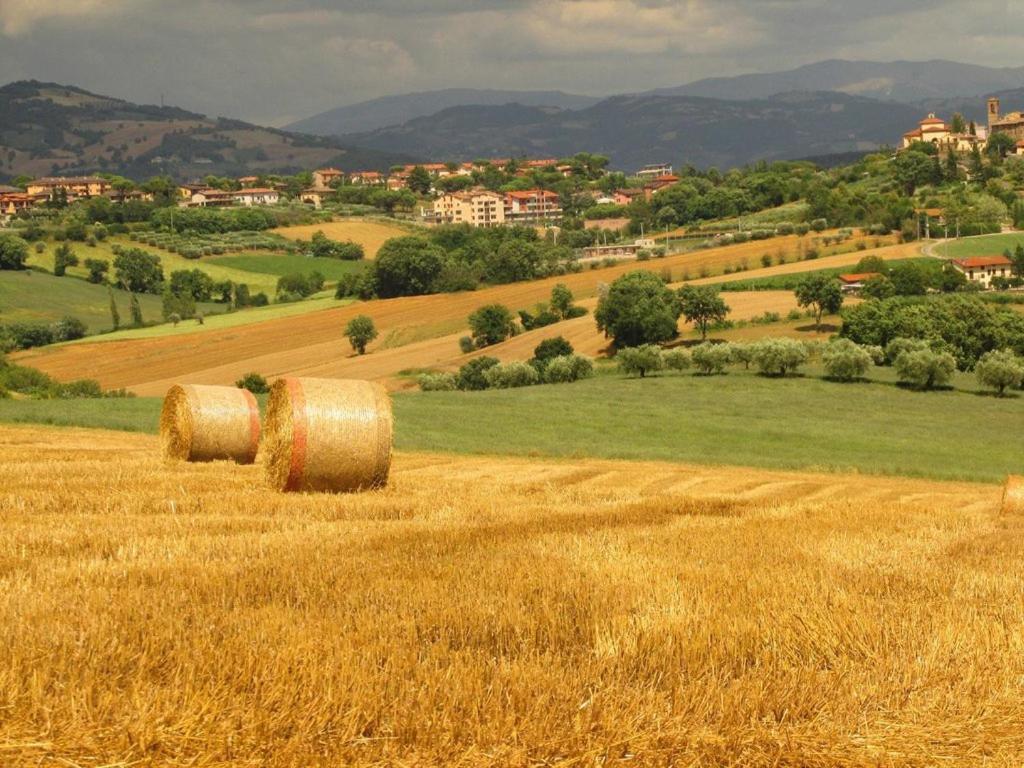 Agriturismo La Ginestrella Civitella D'Arna Eksteriør bilde